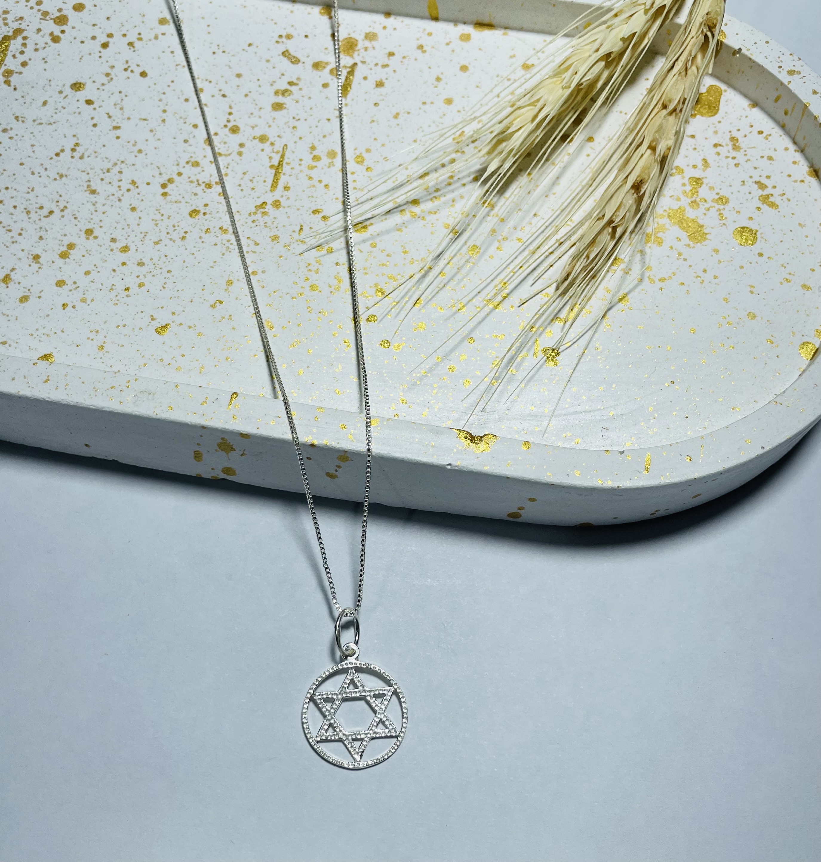 Colar com Pingente estrela de Davi prata 925